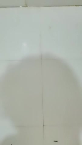 20210520,真实大学女生寝室,【大一妹妹】,旁边室友还在聊天,蚊帐内脱光抠穴,淫水横流,小翘臀摆动极具诱惑力<script src=